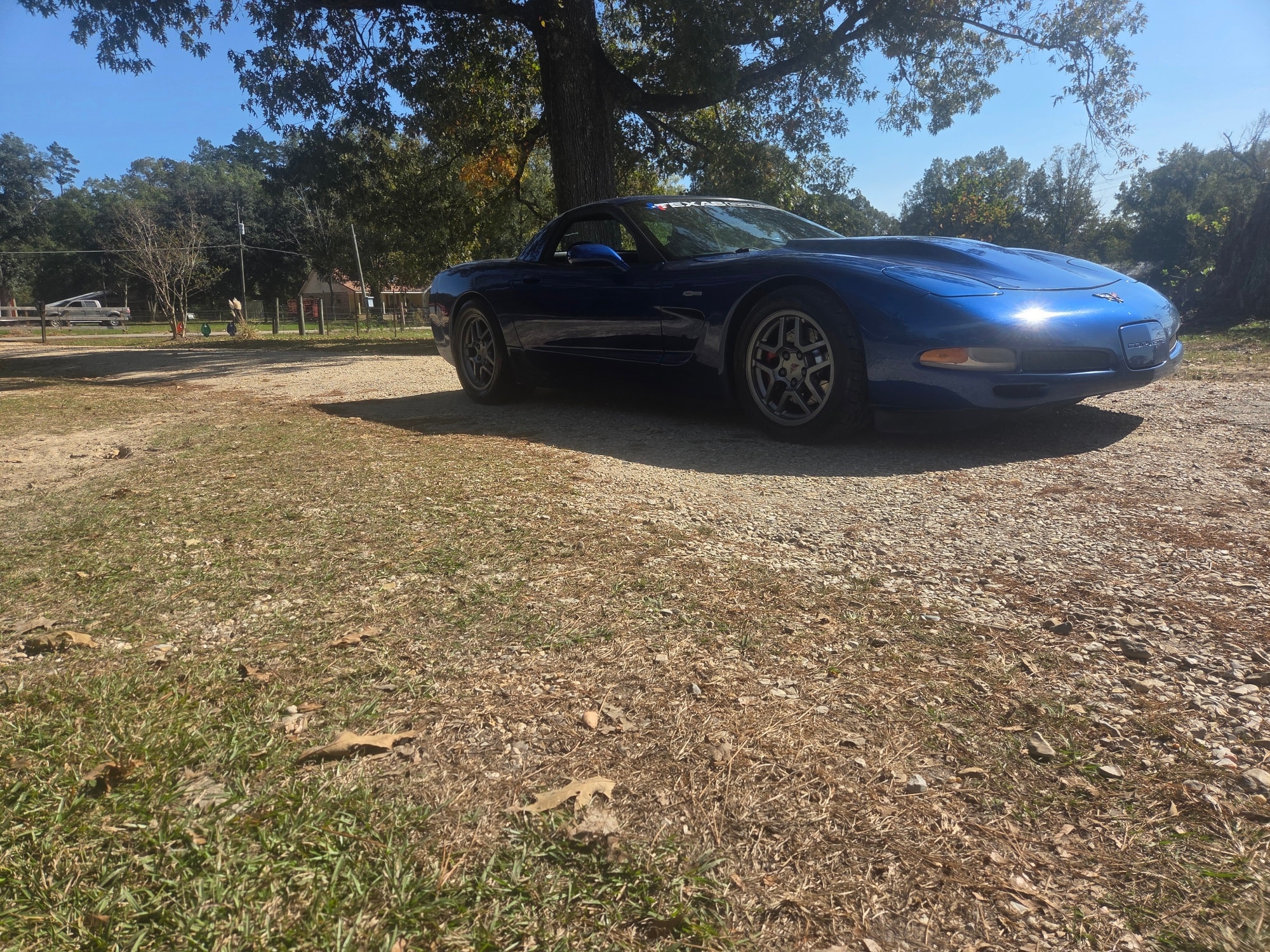 DDTech - Derek Morgans catfish got some re-tuning love from us and is ...