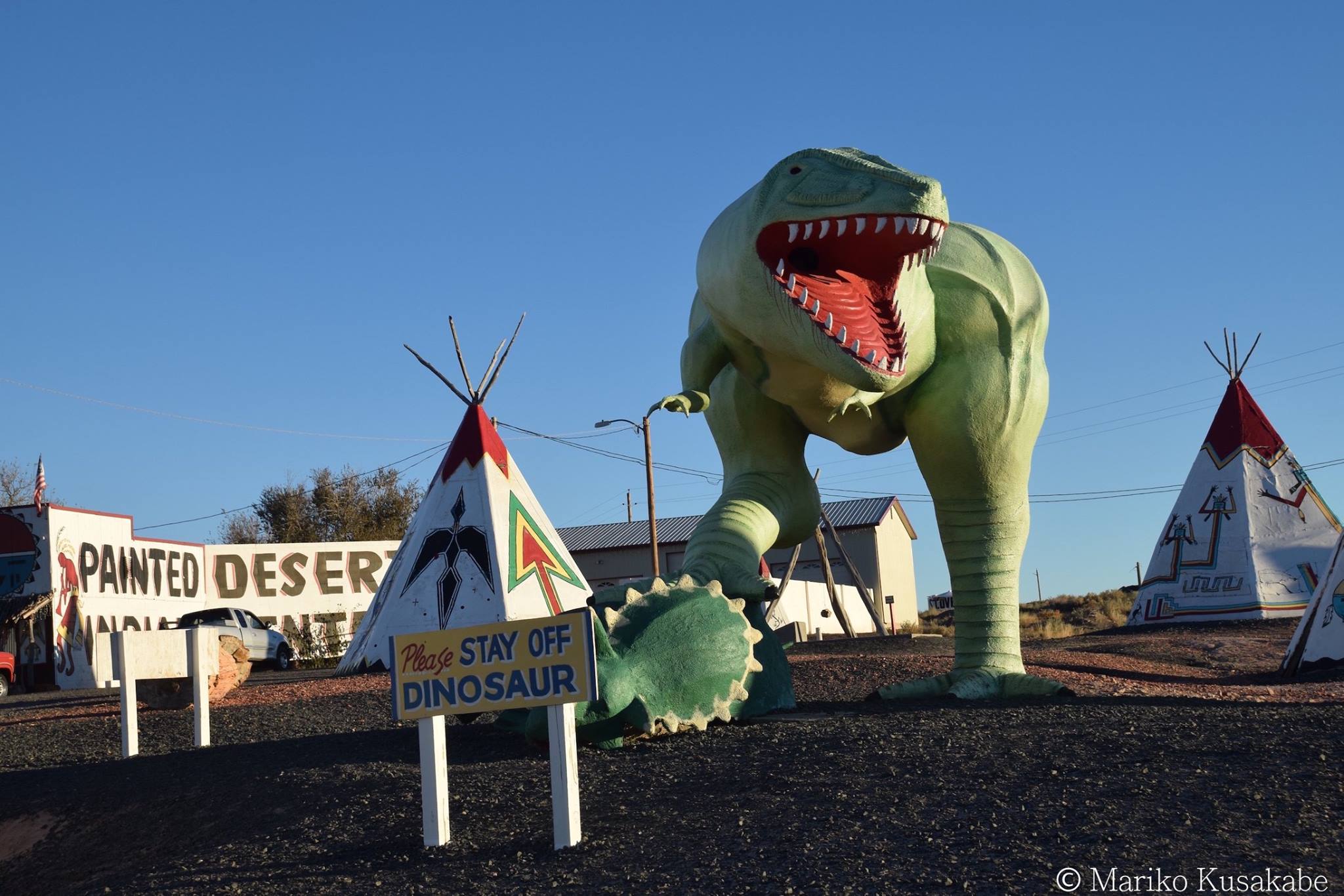 Just east of Holbrook Arizona along Route 66 lies a strange land
