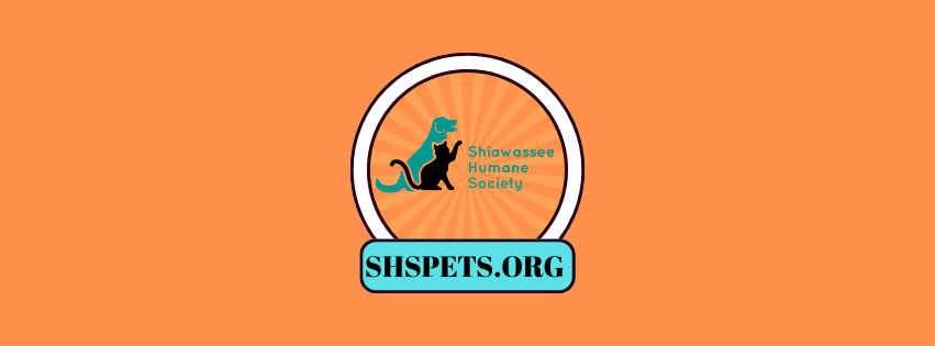 SUNDAY'S WEEK IN REVIEW!... - Shiawassee Humane Society | Facebook