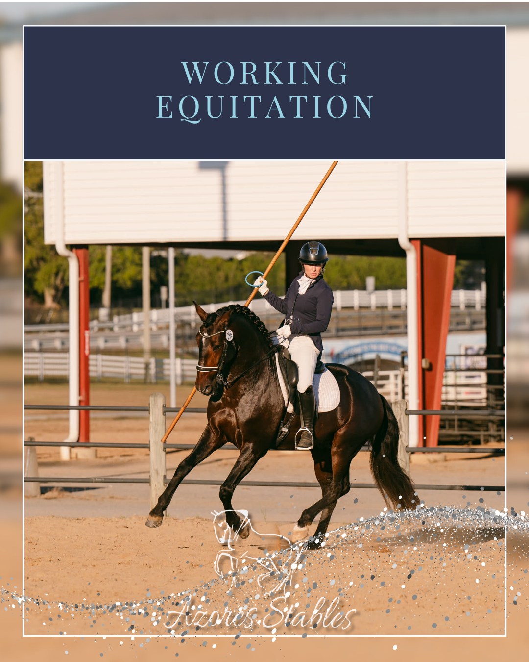 Azores - Standing at Stud · 2026 We are proud to announce our 2026 stud ...