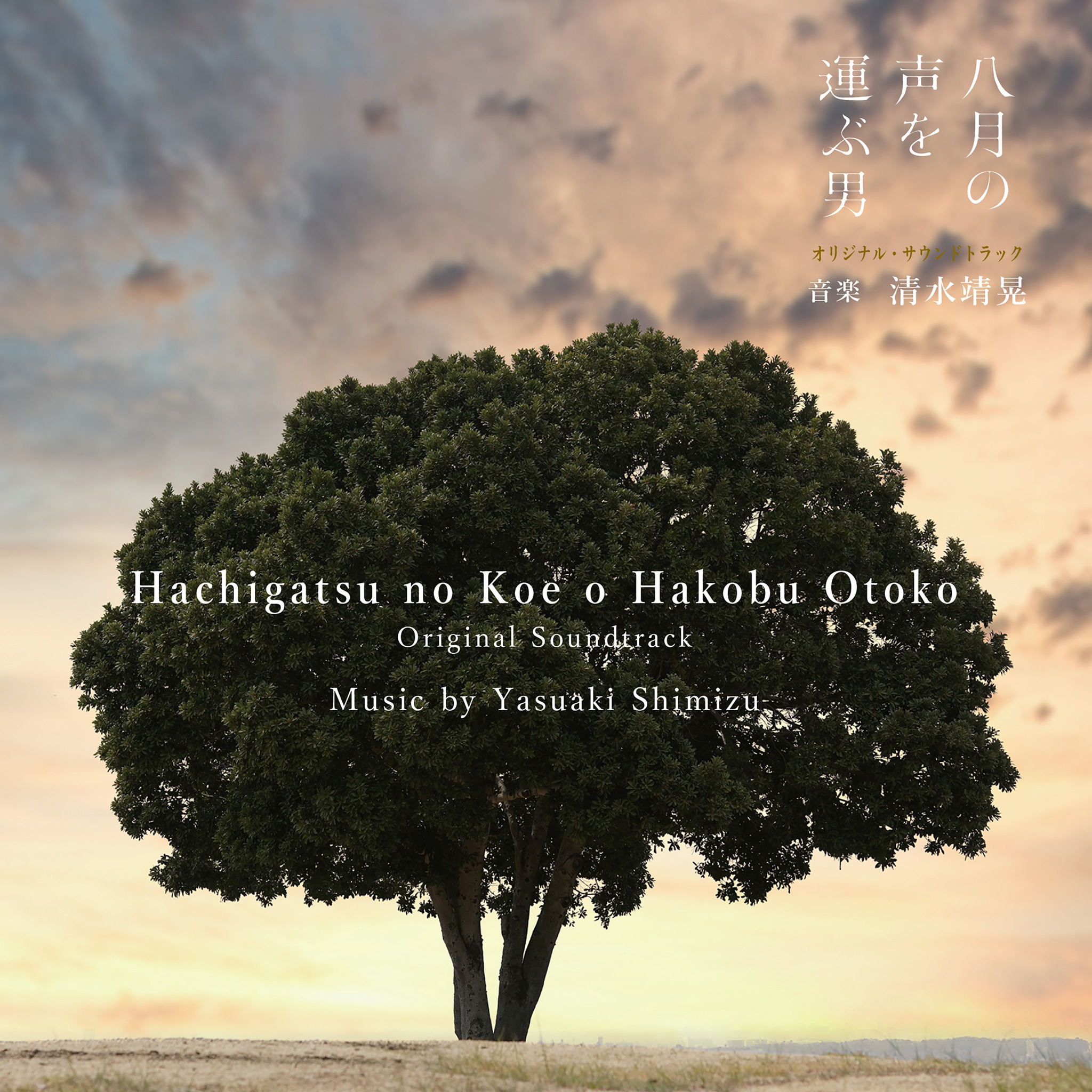 Yasuaki - 清水靖晃ペインティングの『案山子』猫ジャケットがトート