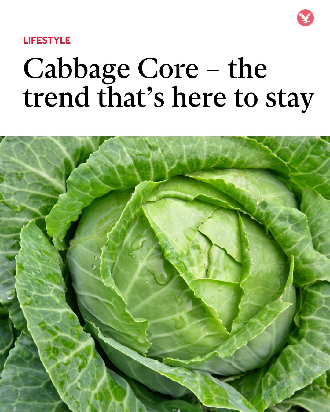 Cabbage has improbably become this year's most fashionable vegetable. But is this a genuine nutritional redemption story or simply another cycle of food hype, asks Hannah Twiggs