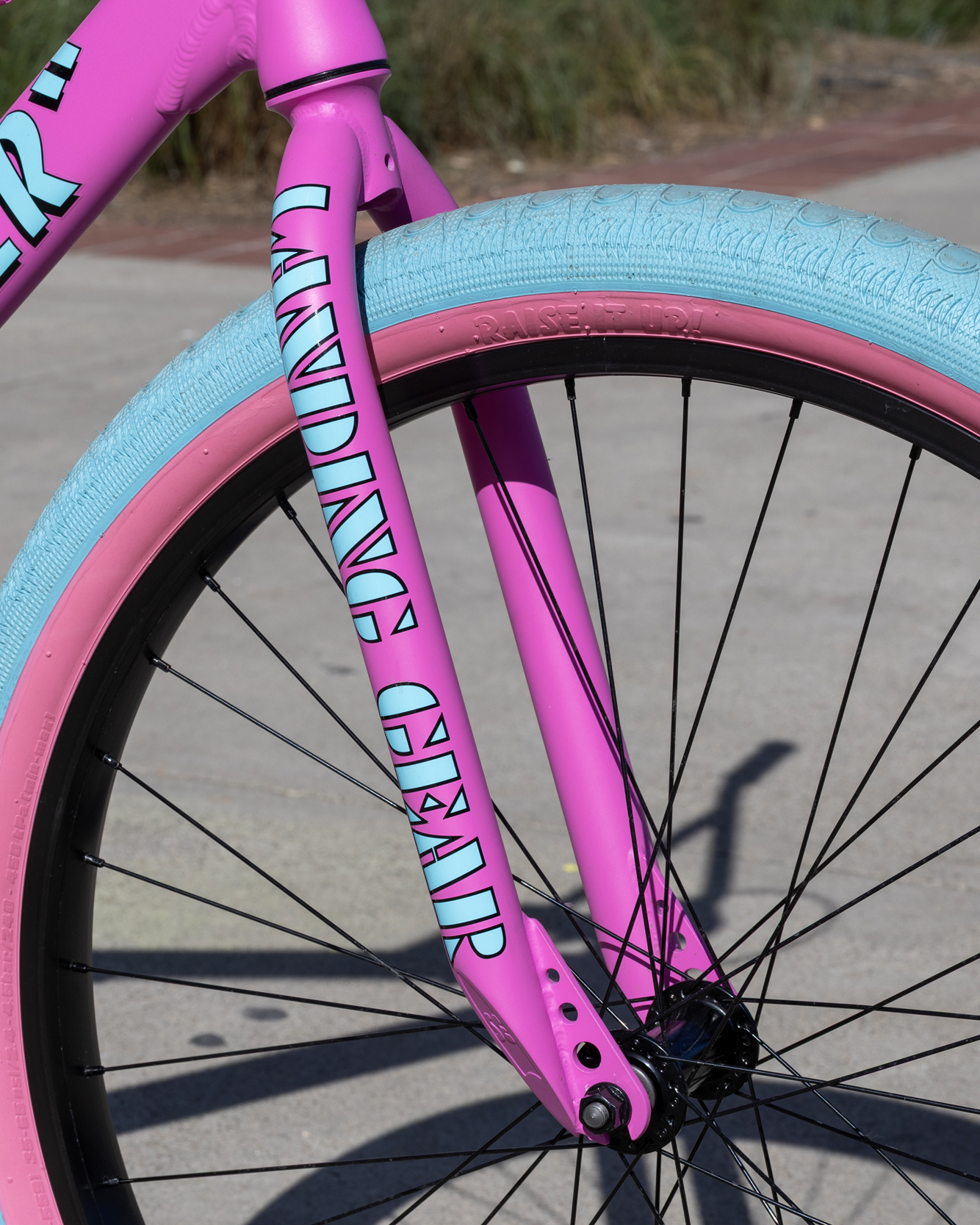 The Pink Bubblegum 26