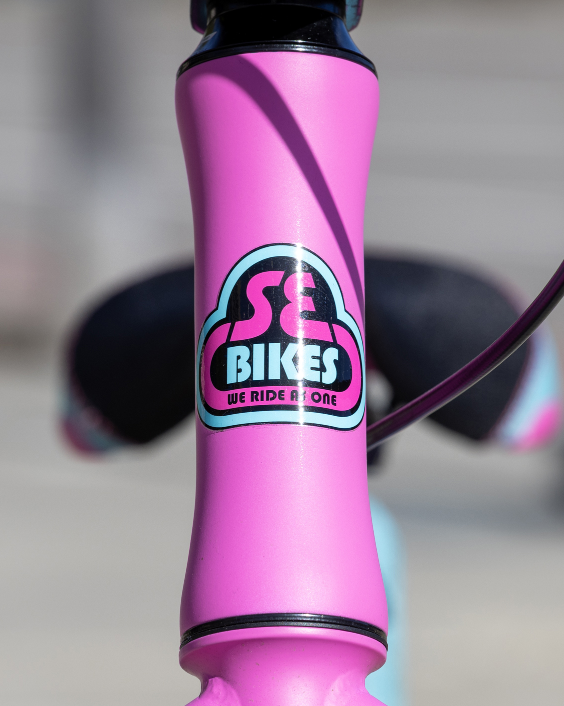 The Pink Bubblegum 26