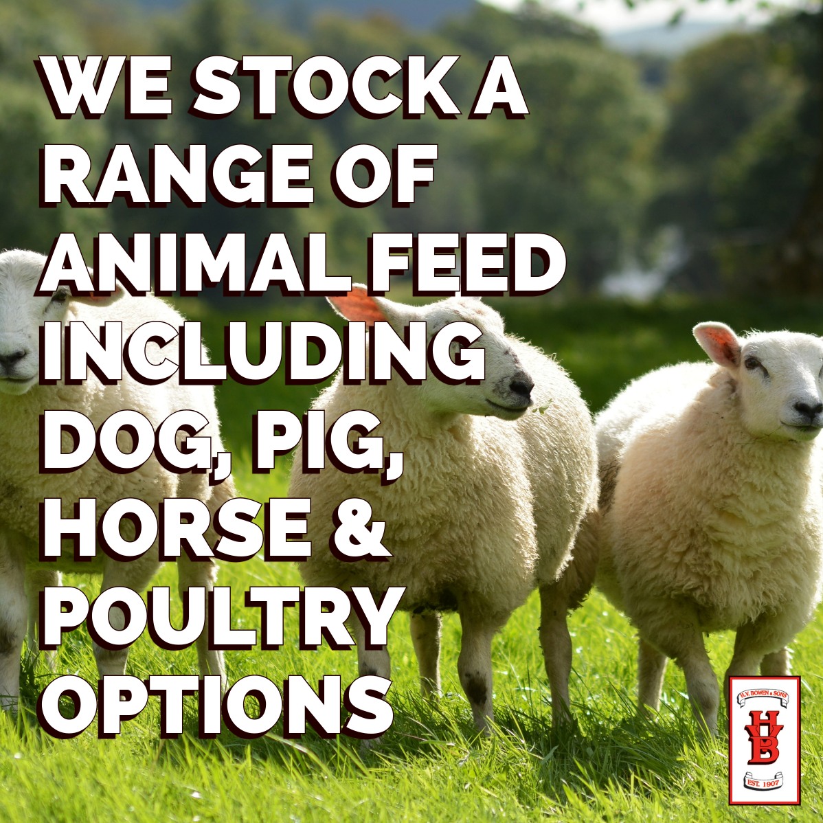 HV - 🐄 ANIMAL FEED & SUPPLEMENTS 🐄 With over one hundred years of ...