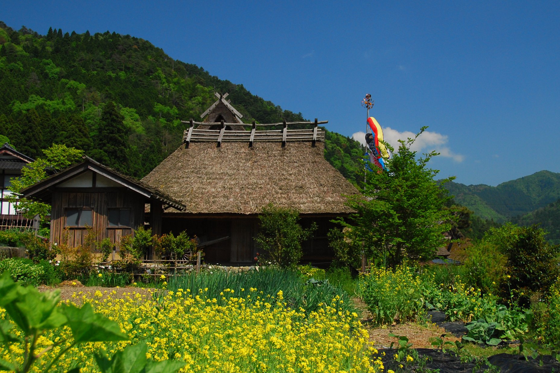 美山 か やぶき の 里 ライブ カメラ