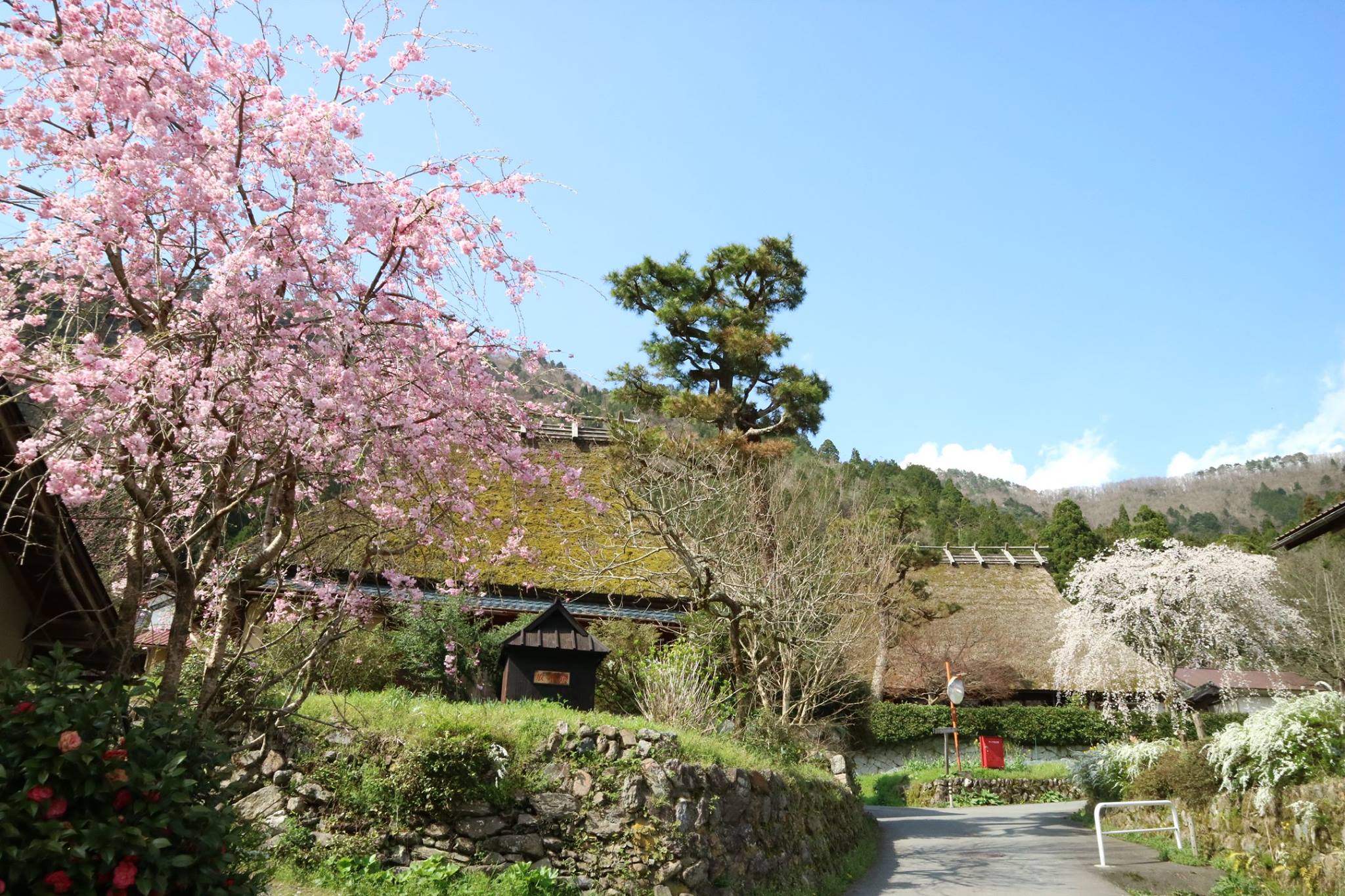 美山 か やぶき の 里 ライブ カメラ