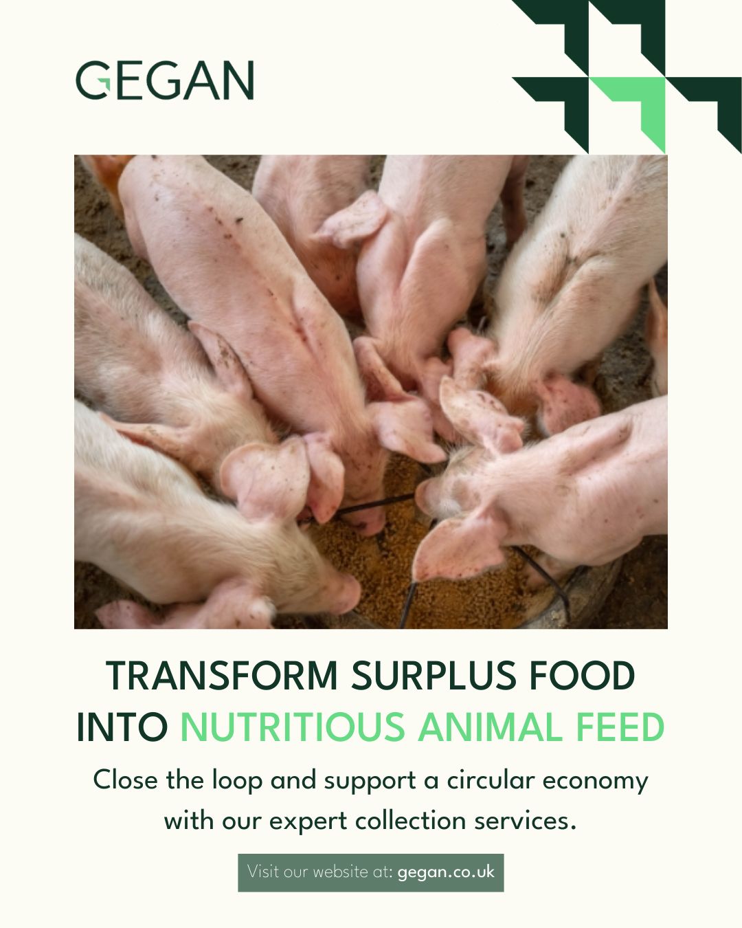 Gegan - Don’t let surplus food go to waste. At Gegan, we collect your ...