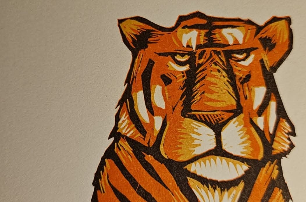 Tiger Rabbit Studio