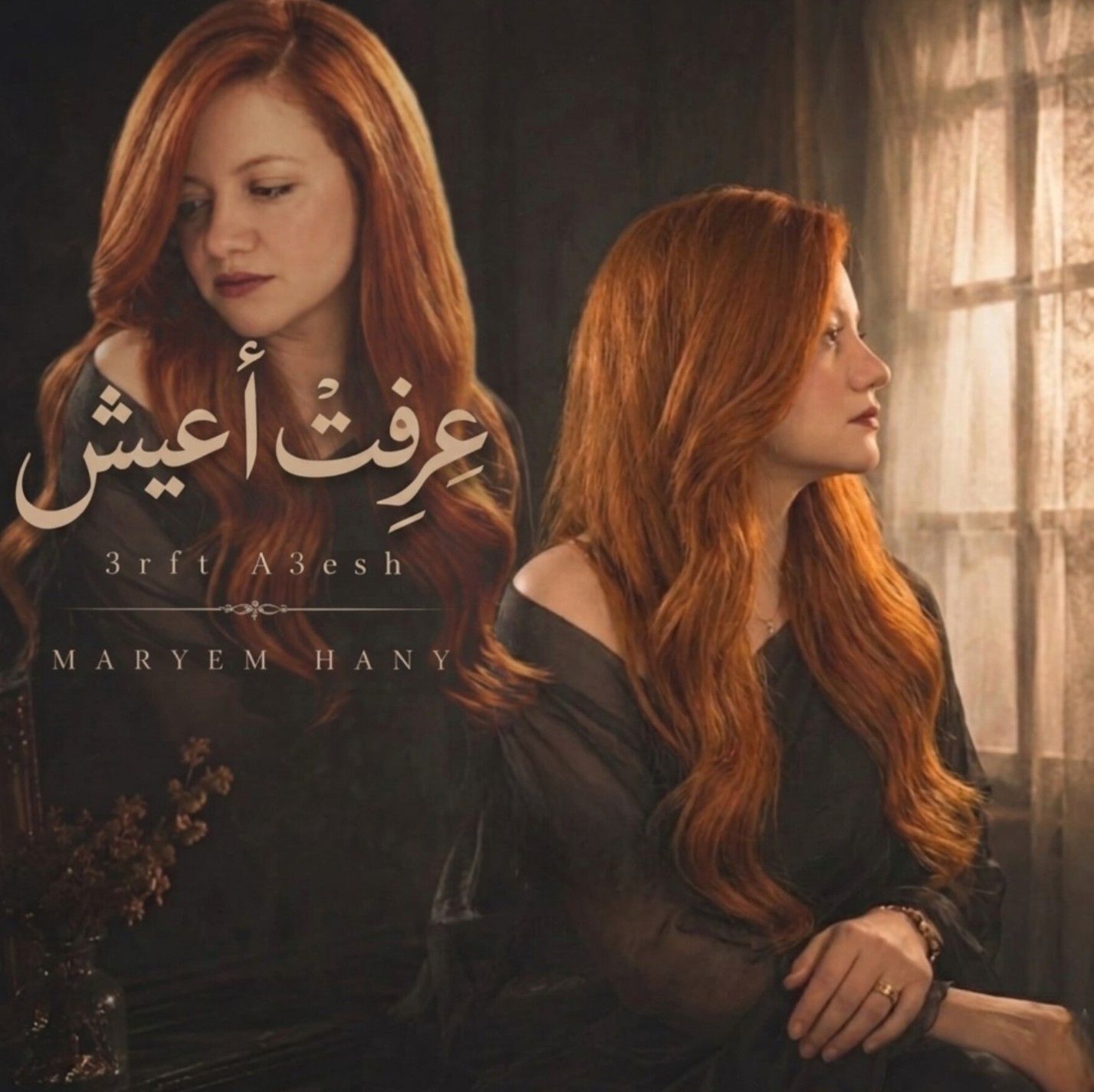 وقف الخلق 🇪🇬 #وقف_الخلق #مصر 🇪🇬 #vrial #explor #maryemhanysinger ...
