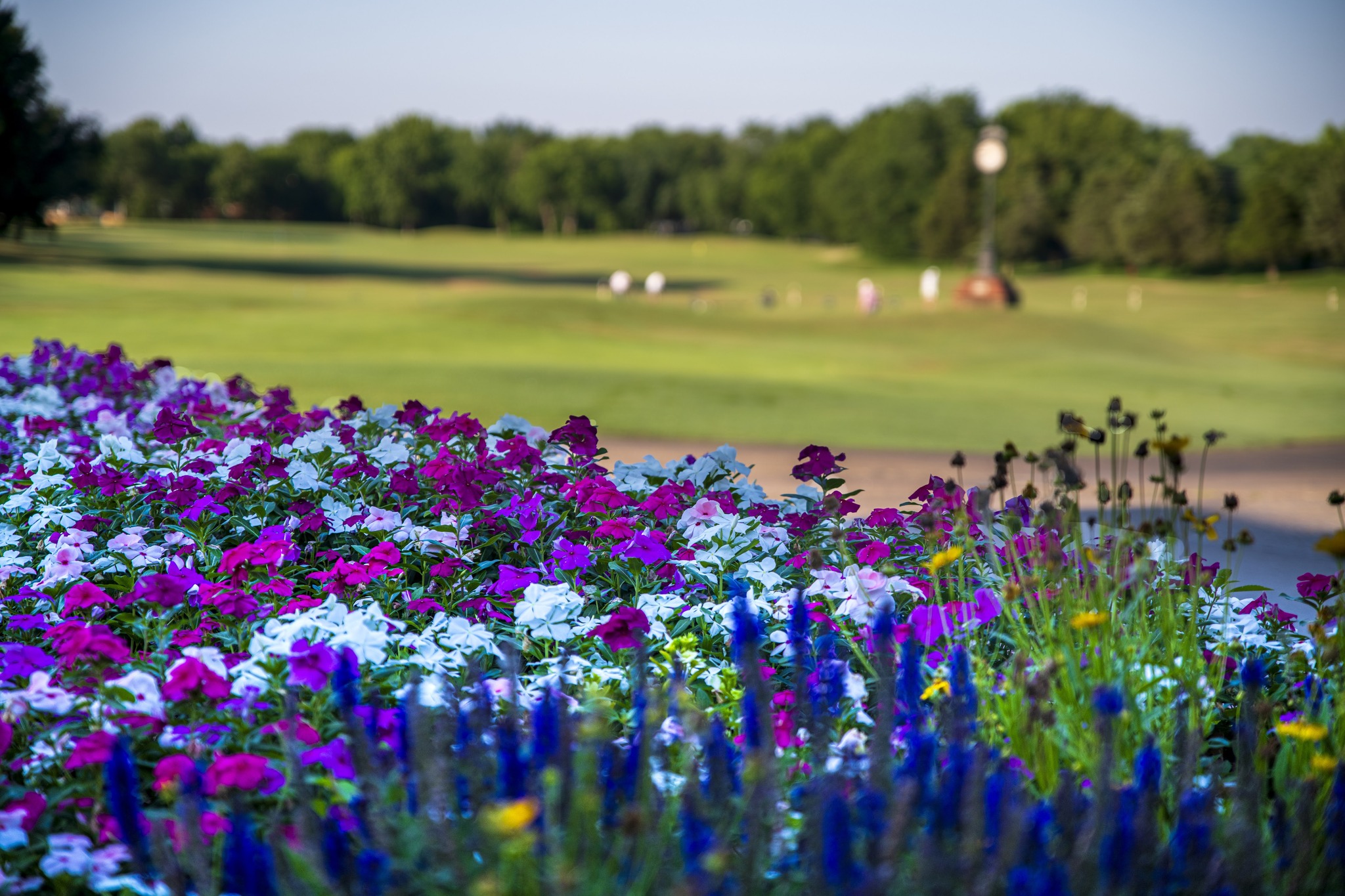 The Club - ⛳ Course Update: The golf course will remain closed today ...