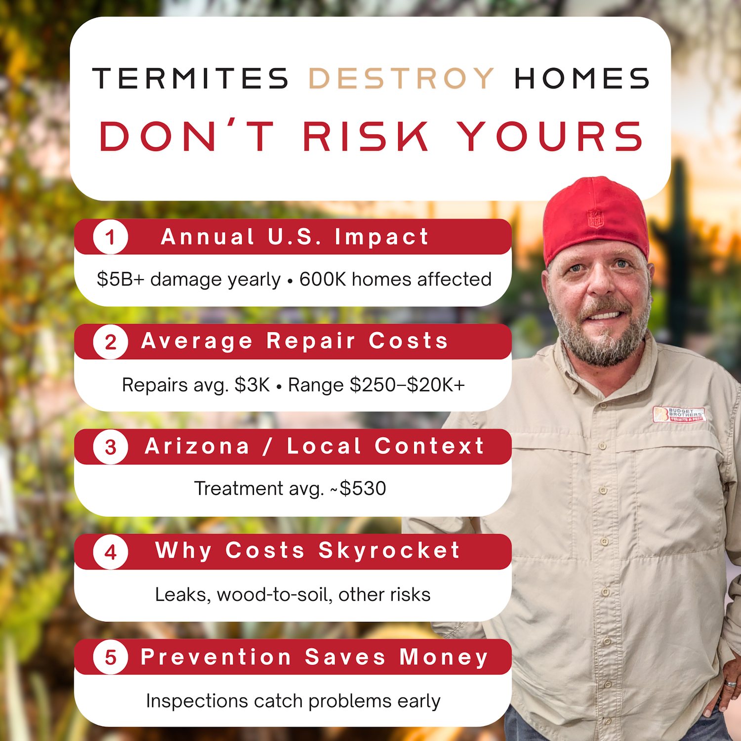 💥 Termites cause over $5... - Budget Brothers Termite & Pest | Facebook