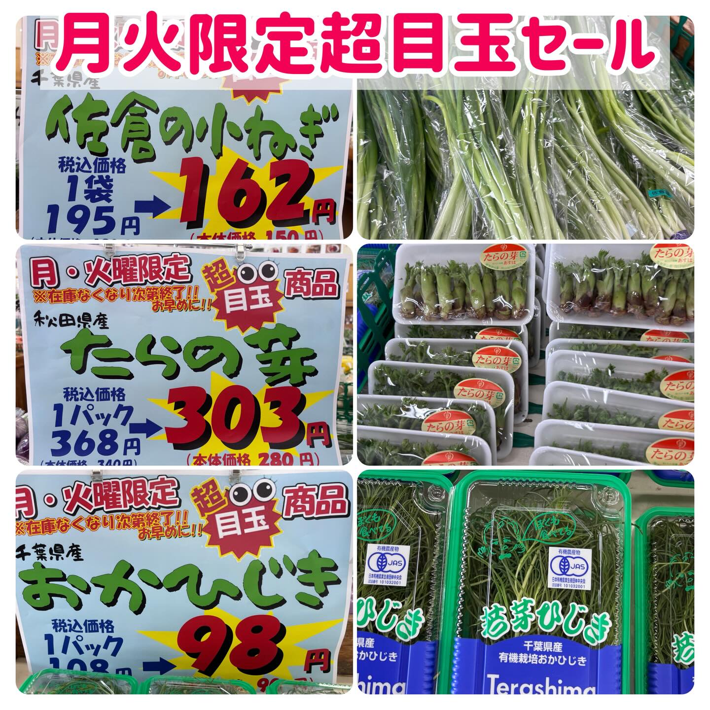 月火限定超目玉セール #お買い得 #しょいかーご千葉店 #目玉商品