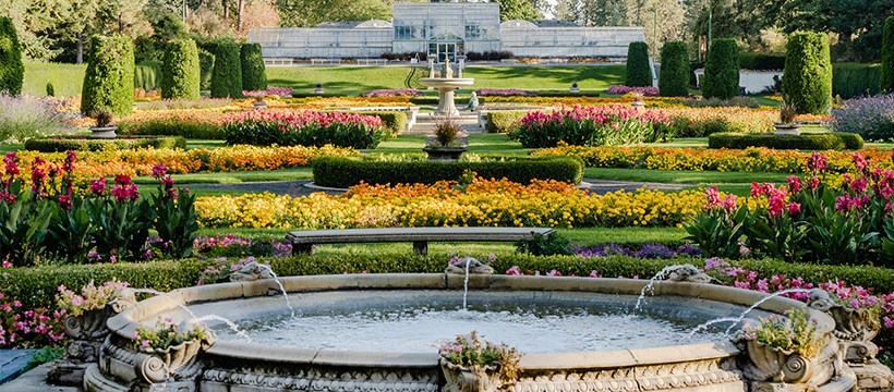 Spring Plant Sale