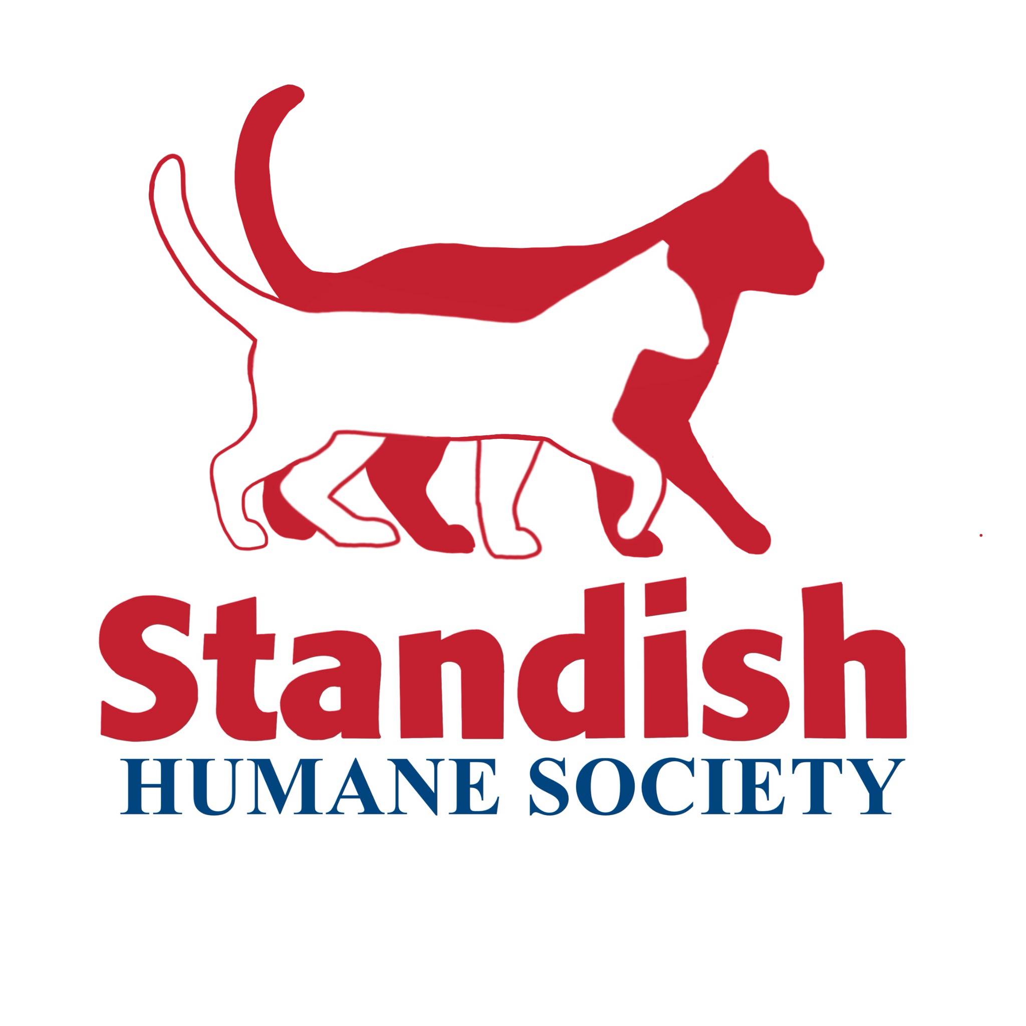 Fergus, a male kitten, is a... - Standish Humane Society | Facebook