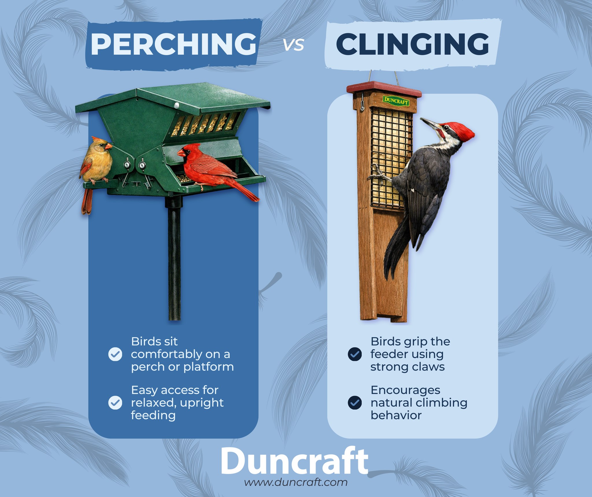 Duncraft
