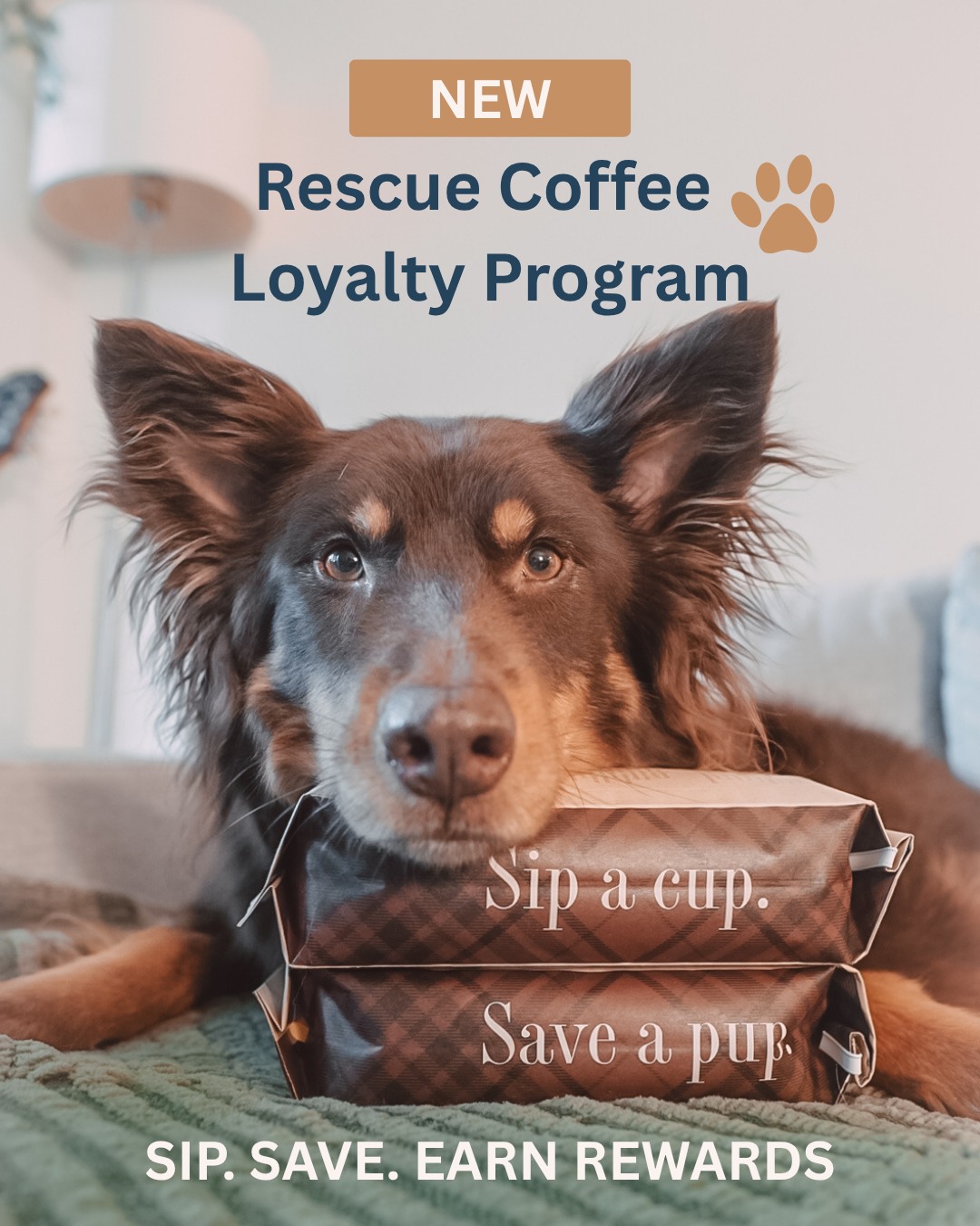 📣 Introducing the Rescue Coffee... - Rescue Coffee Co. | Facebook