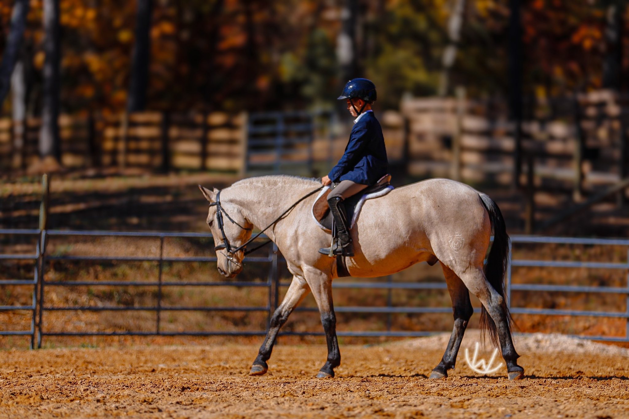 Double R Ranch Horses added a new... - Double R Ranch Horses