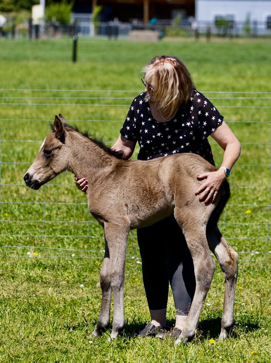 Running M Ranch - New Zealand | Rangiora