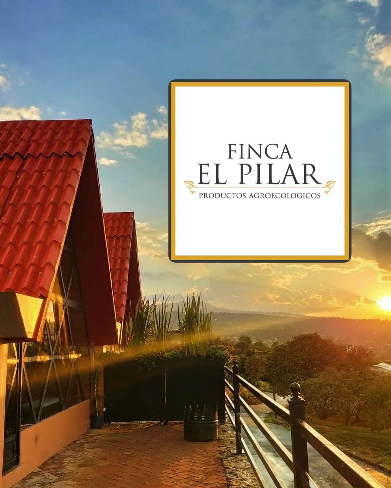 Sabor Rural México