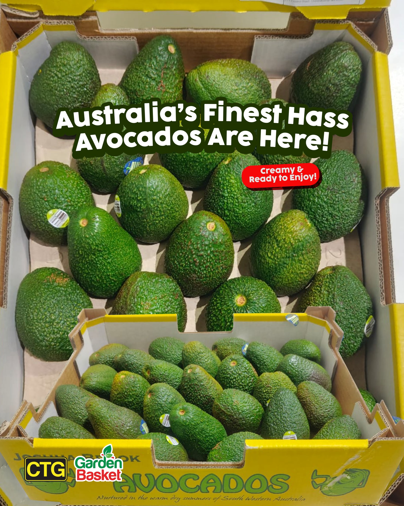 Chop - 🥑 Australia’s Finest Hass Avocados Are Here—Creamy, Fresh ...