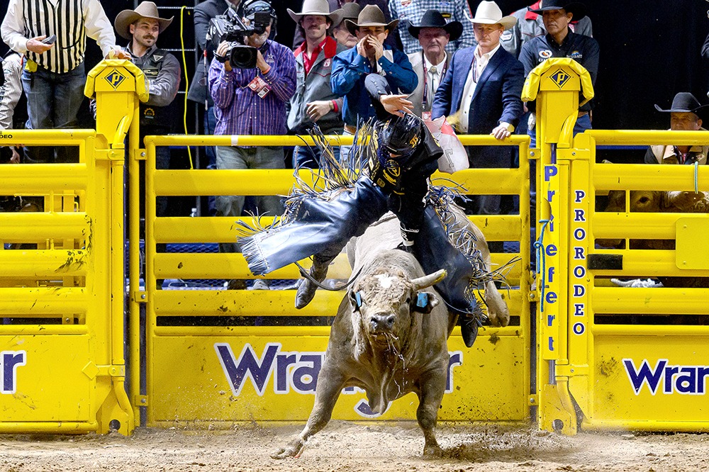 TwisTed Rodeo