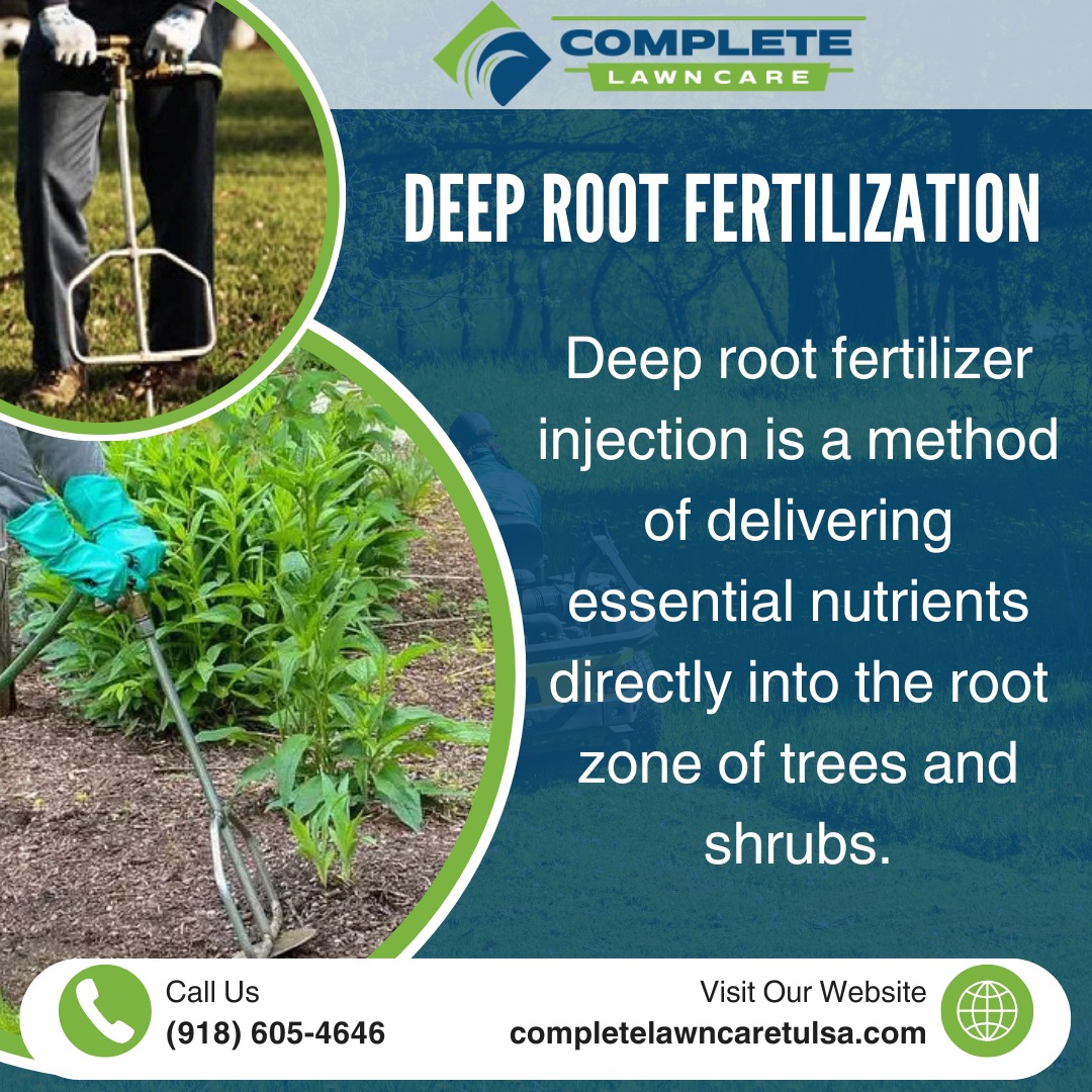 Complete - 🌳 Give Your Trees and Shrubs a Boost This Season! 🌿 Healthy ...