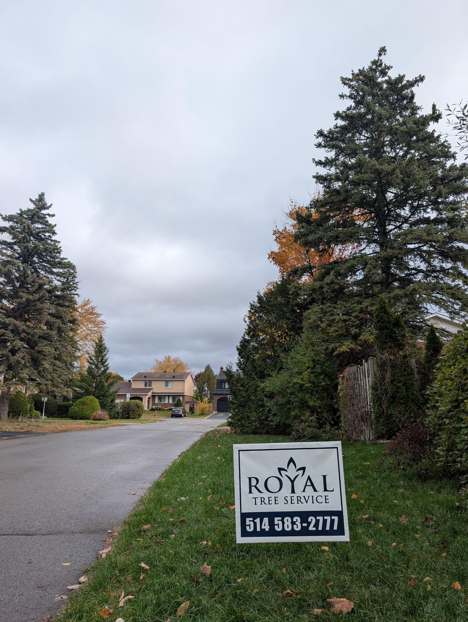 Royal Tree Service | Kirkland QC