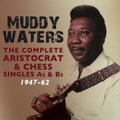 Muddy Waters Month at the Delta Blues Museum Anthology of Chess