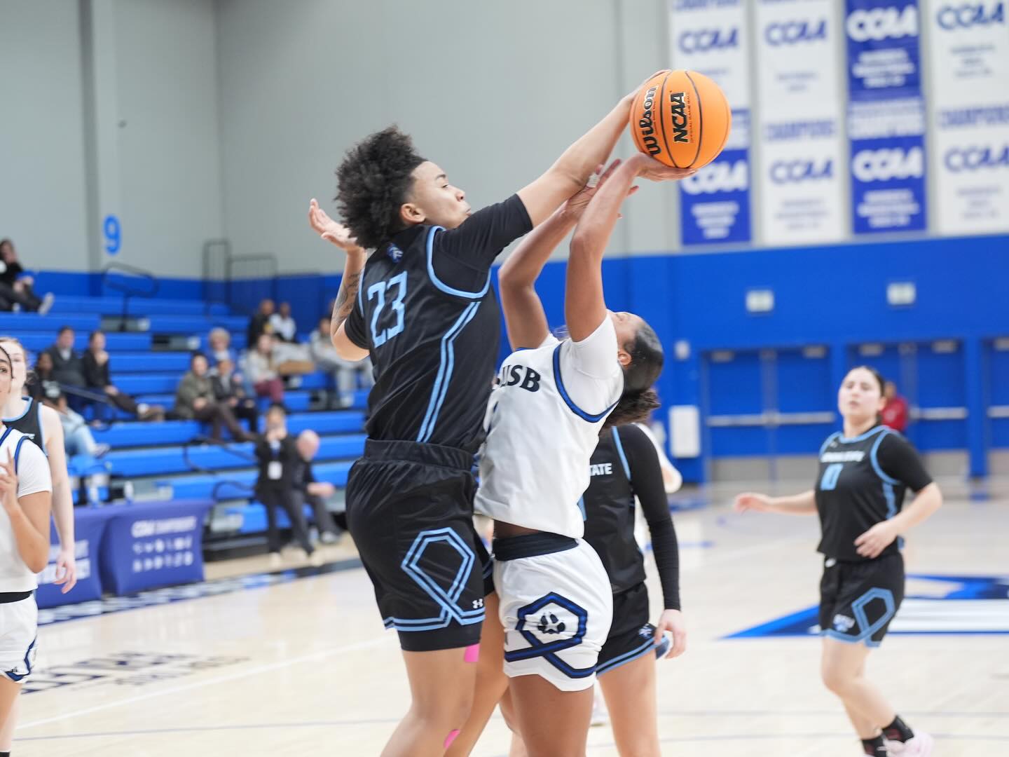 Sonoma State Seawolves | Rohnert Park CA