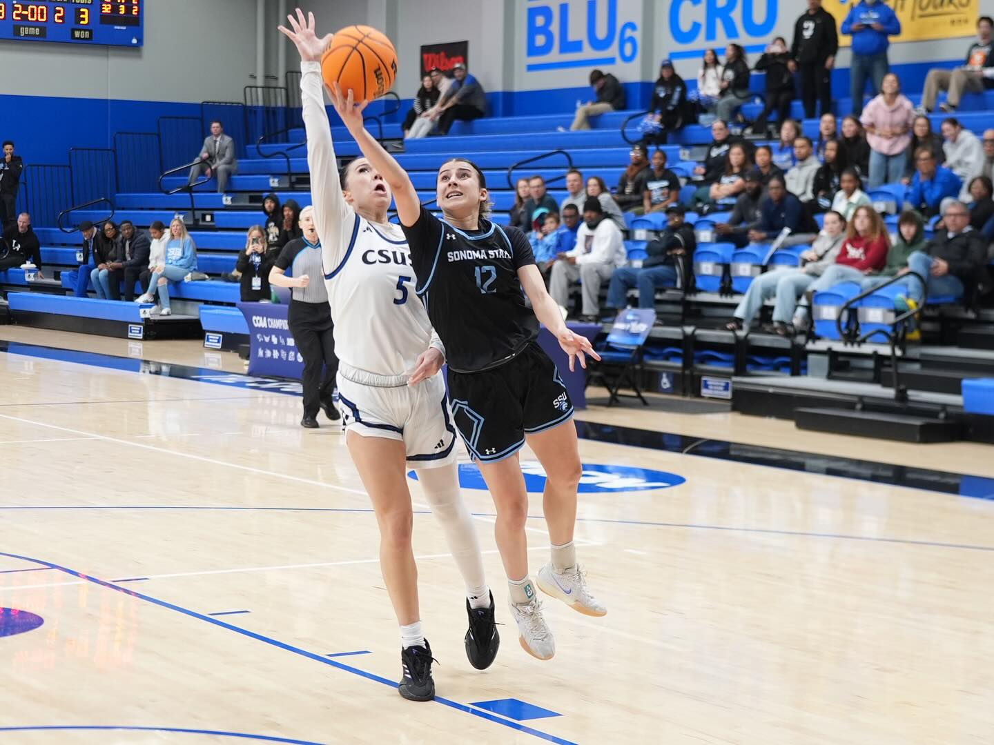 Sonoma State Seawolves | Rohnert Park CA