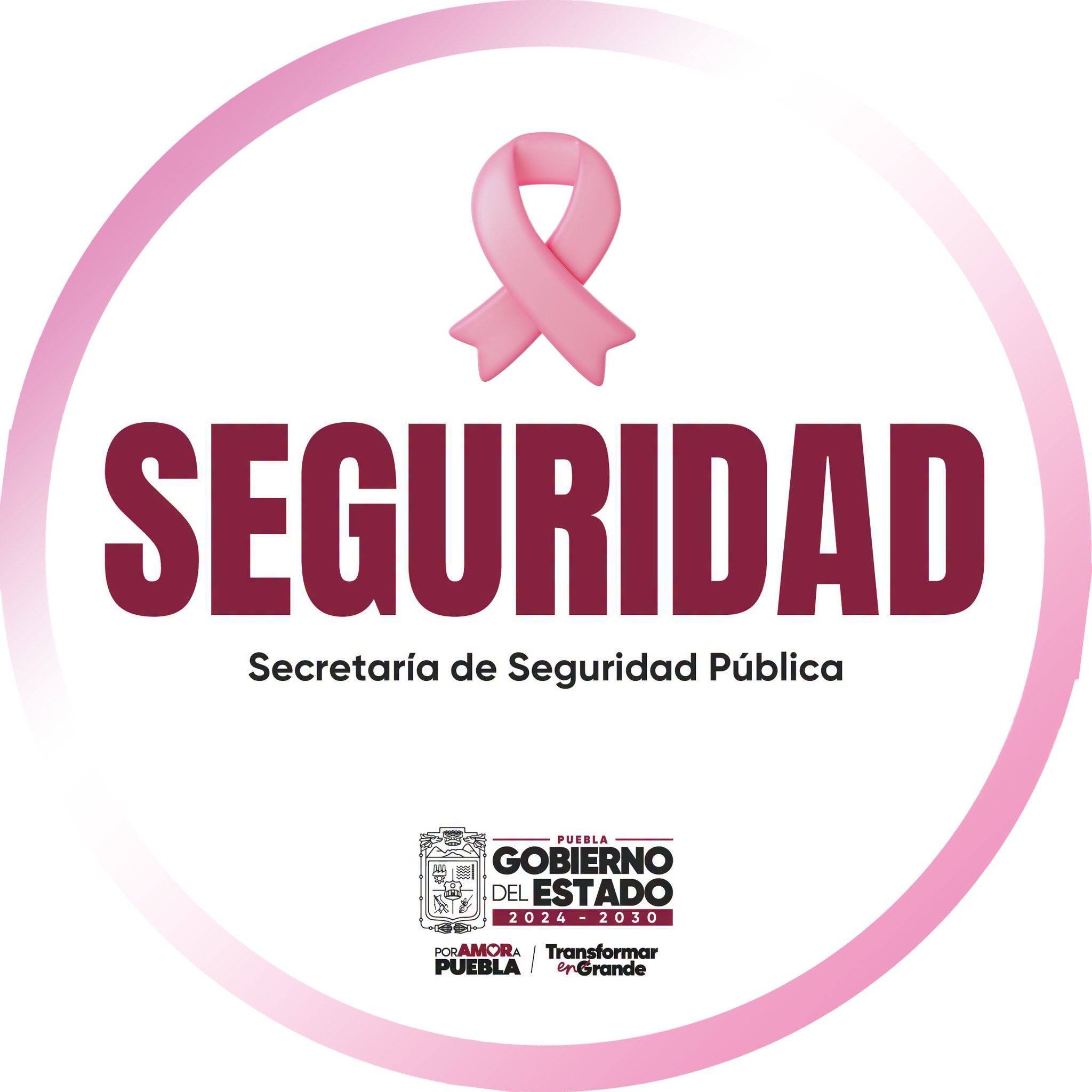 El Gobierno de Puebla... - Secretaría de Seguridad Pública | Facebook