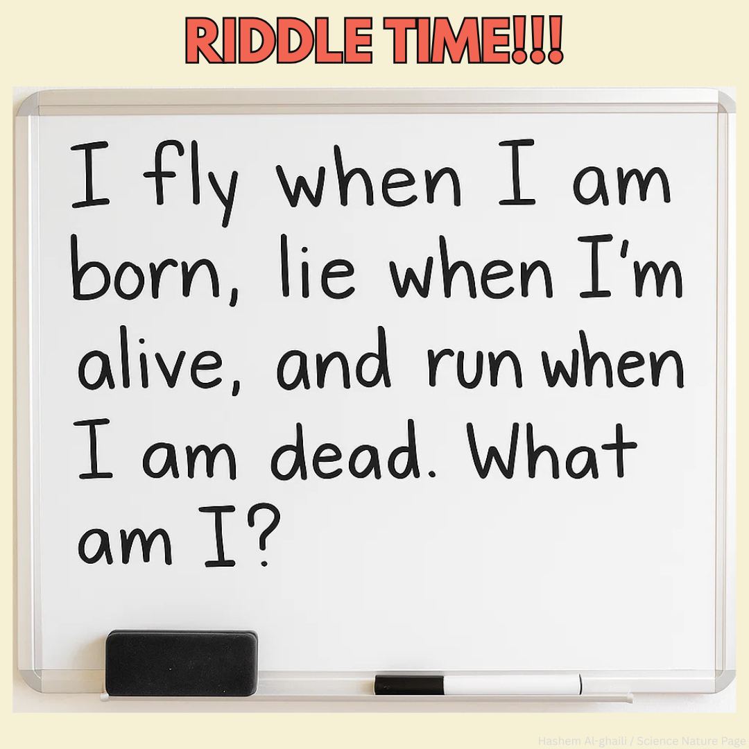 RIDDLE TIME! Post your guess below,... - Hashem Al-Ghaili | Facebook