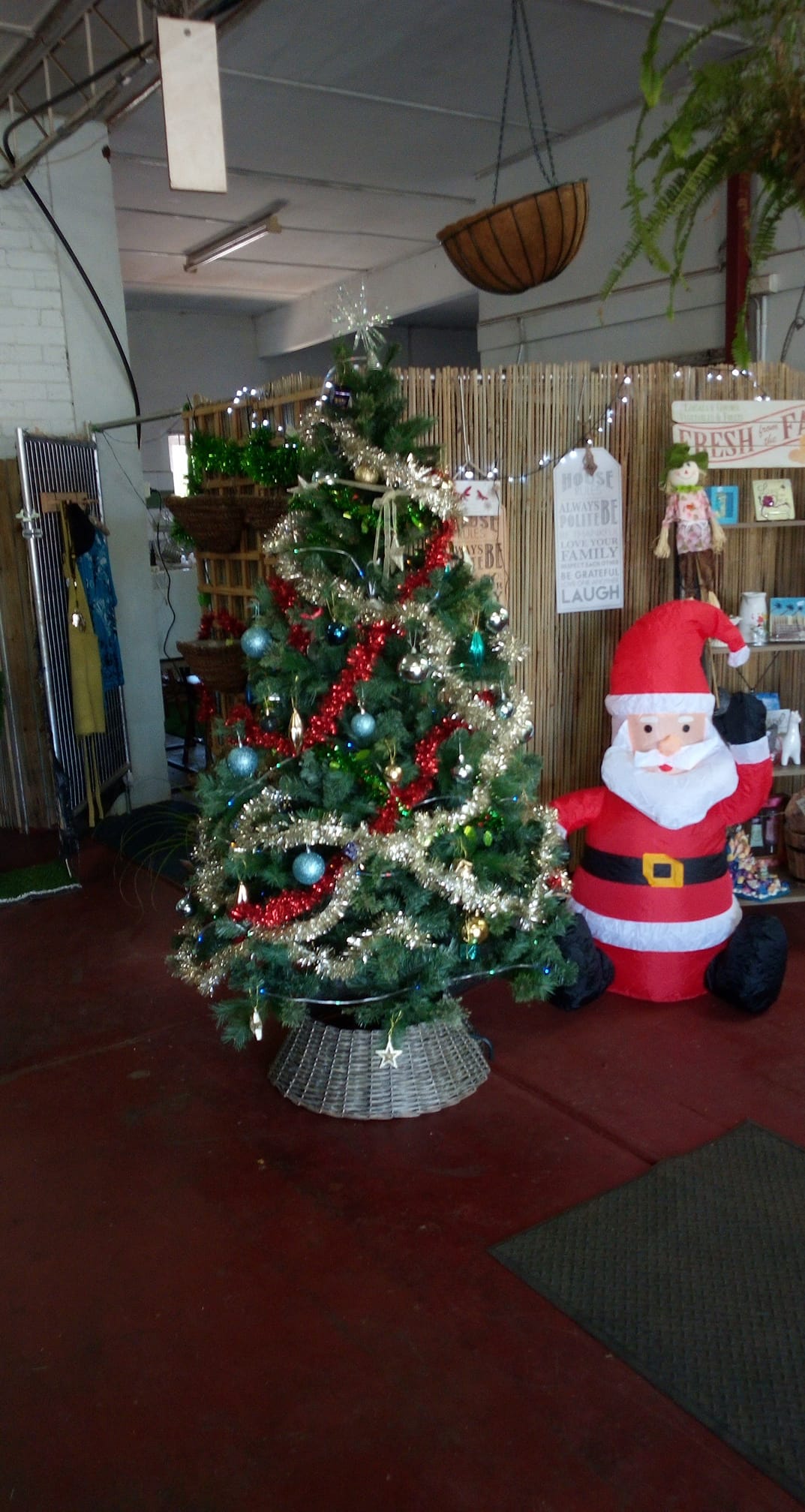 Tony's Community Kitchen - Christmas wishing tree . JOIN IN THE JOY OF ...