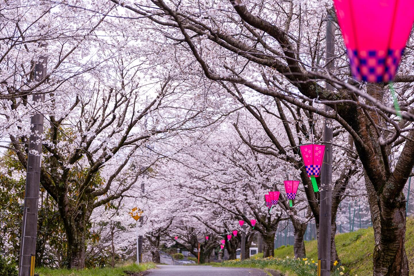 北栄町