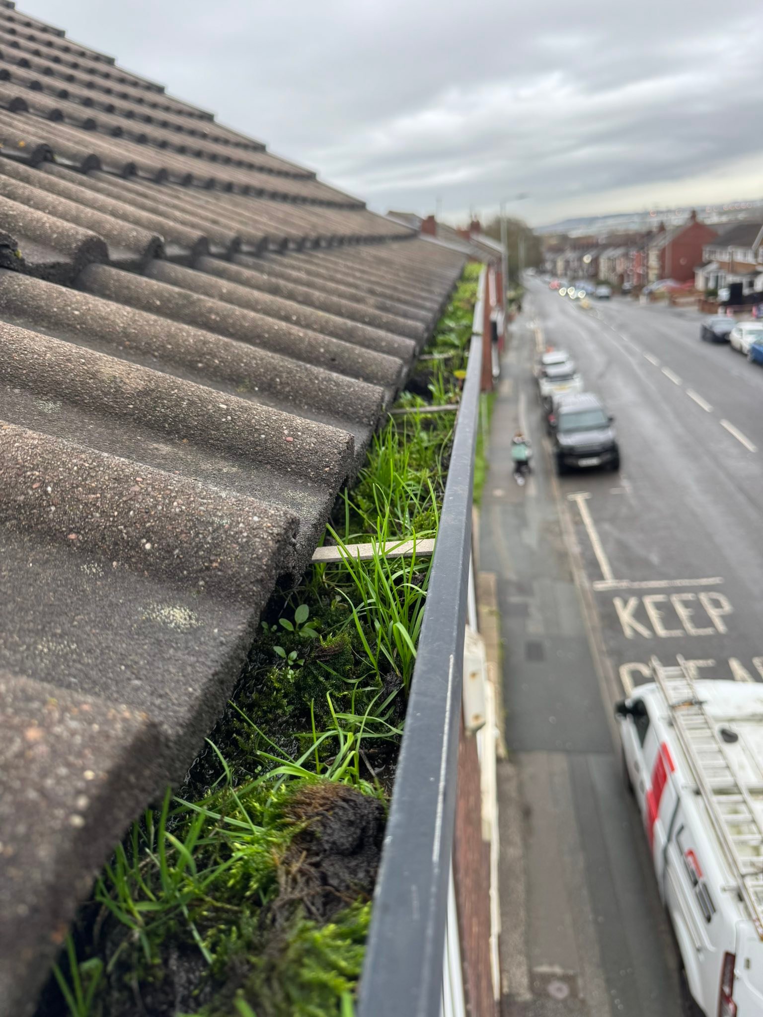 Lexies... - Lexies Crystal Clear gutter & upvc cleaning