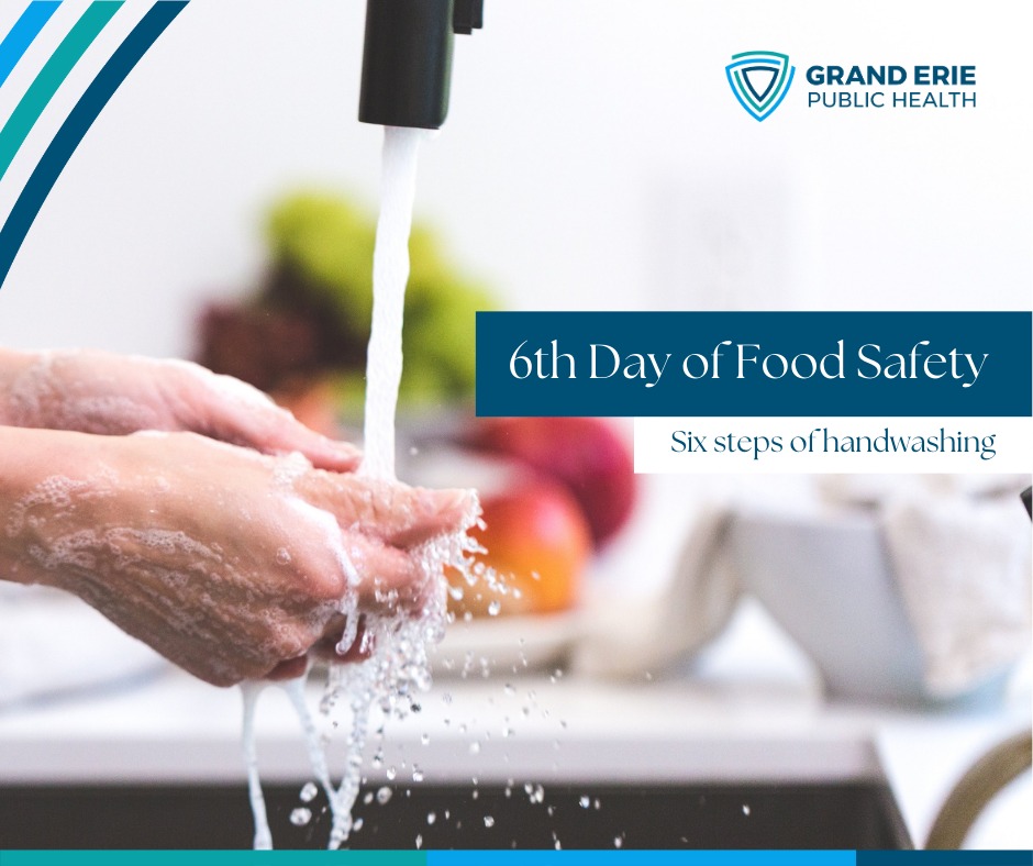 Grand - 🎵 On the sixth day of Food Safety, GEPH gave to me: Six steps ...