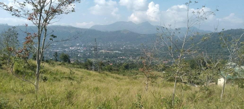 Badulla Pradeshya Sabha Bps