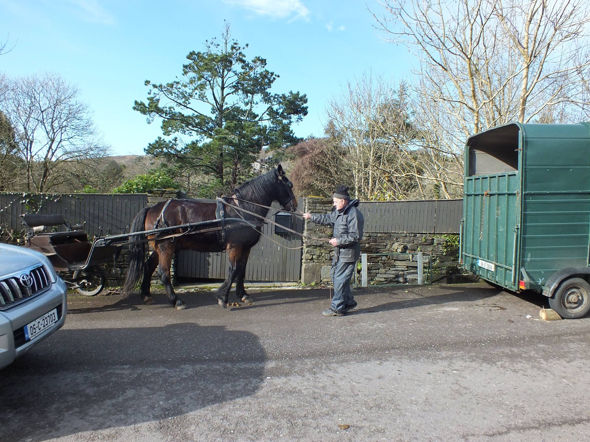 West Cork Chevals added a new photo —... - West Cork Chevals