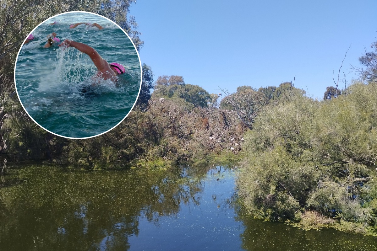 The Bell - BREAKING: Tomato Lake confirmed as Rotto Swim backup amid ...