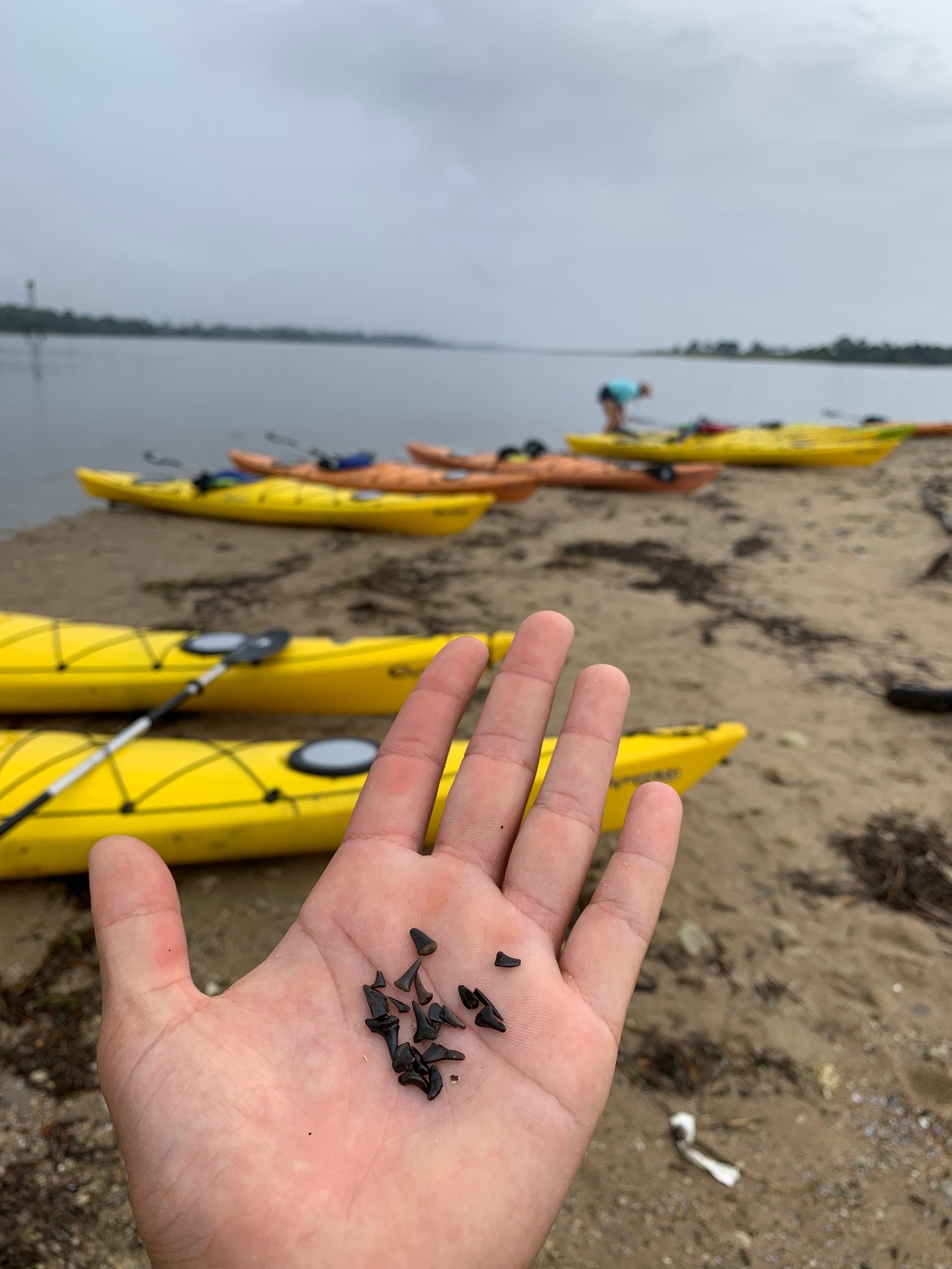 UNCW Seahawk Adventures | Wilmington NC