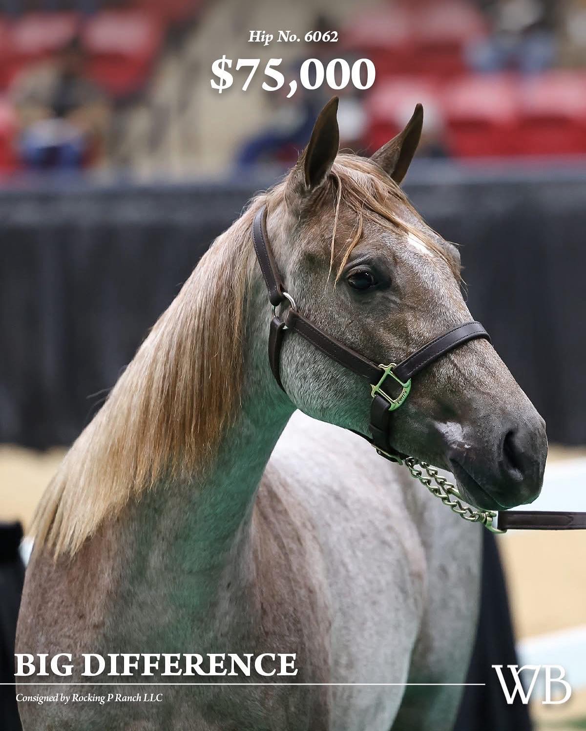 Rocking P Ranch - We have 3 horses advancing to the Open Classic Finals ...