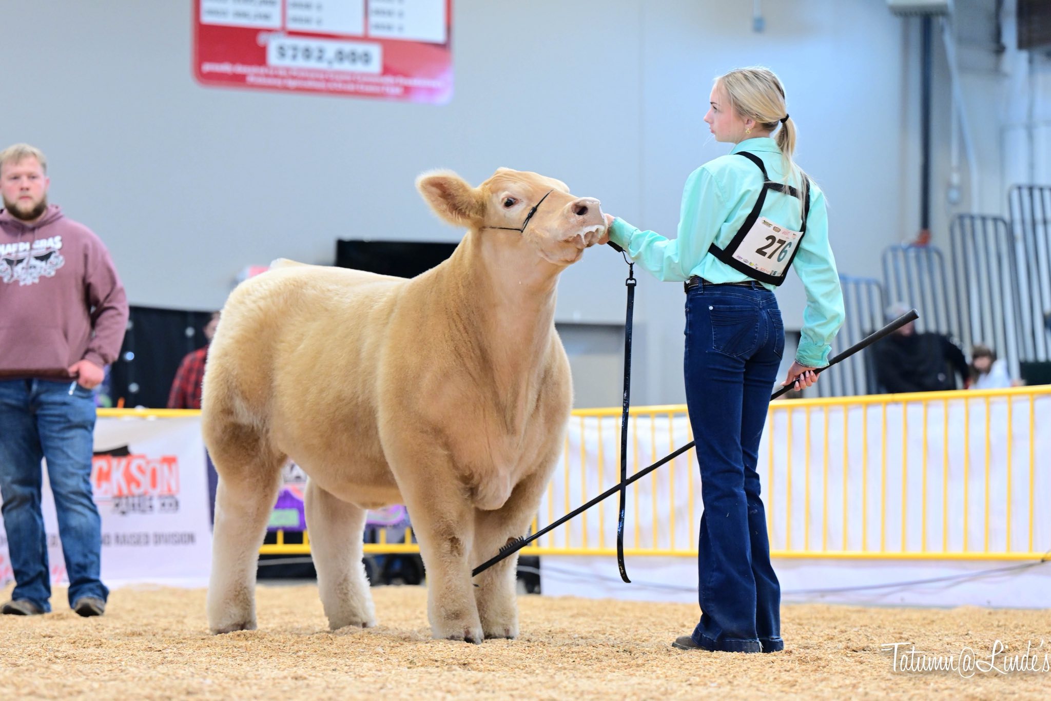 Dupler Cattle | Mount Perry OH