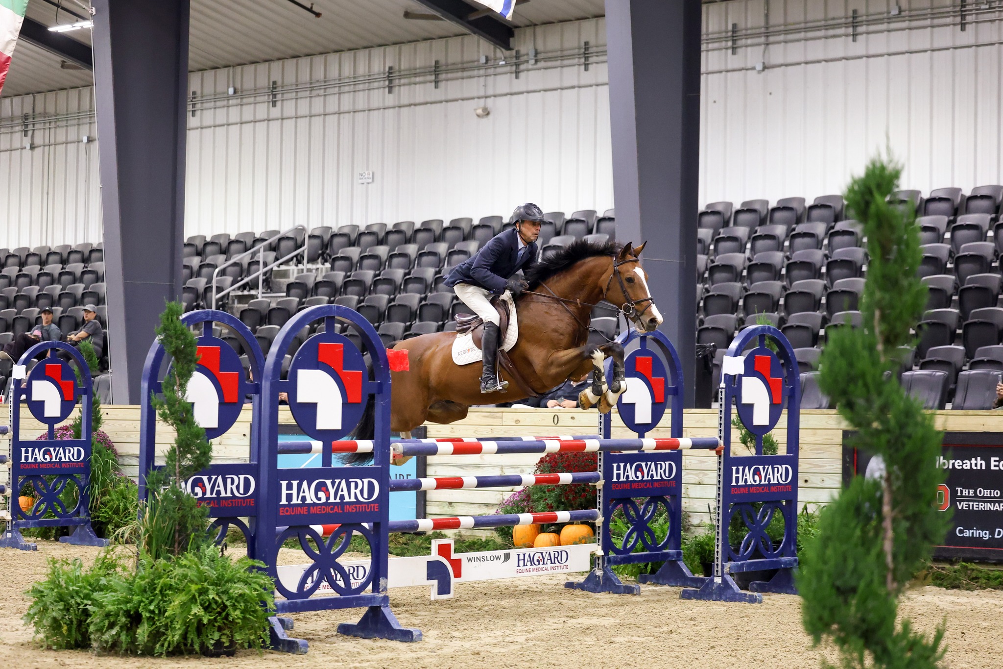 Hagyard - Hagyard is proud to be the Official Veterinarian at the World ...