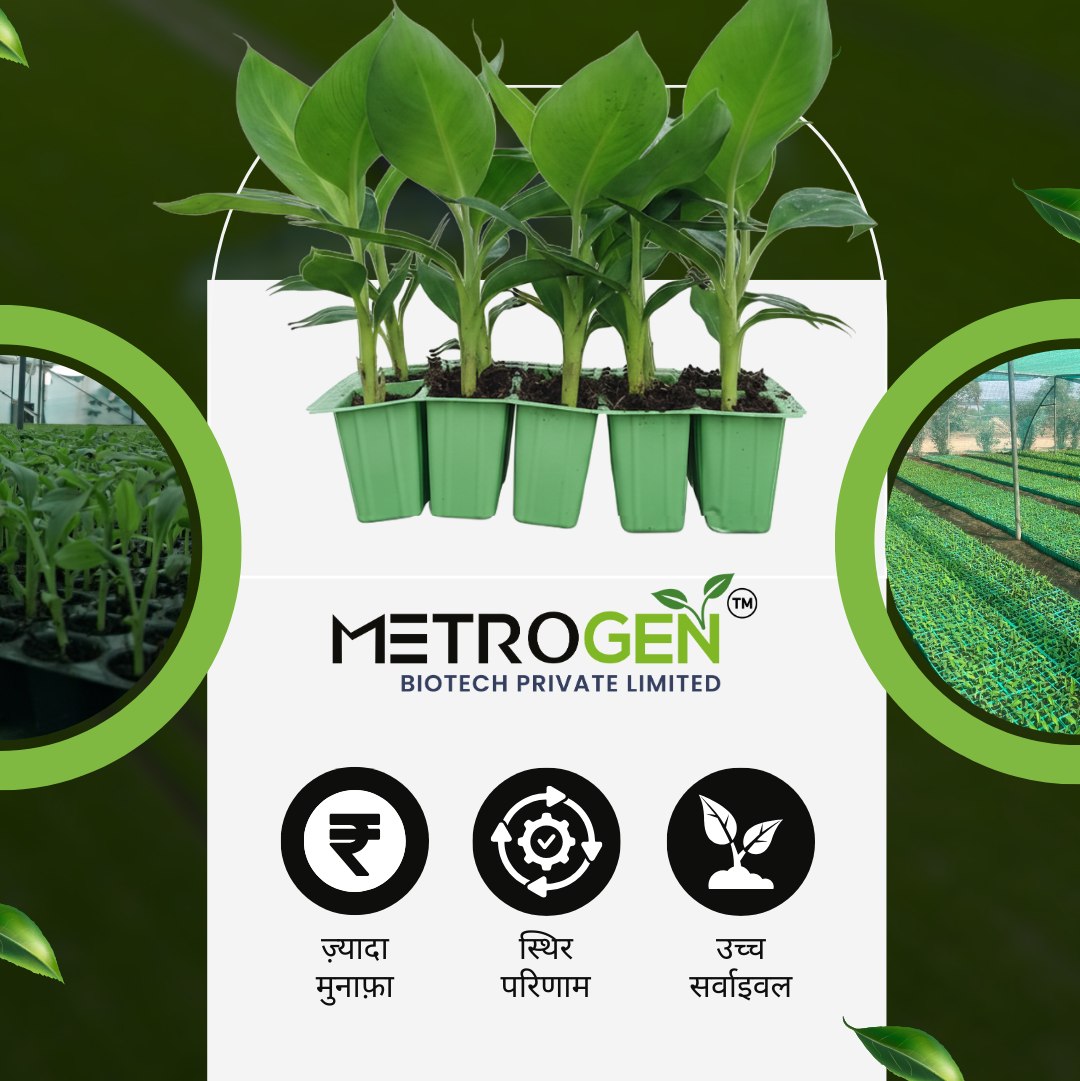 Metrogen Biotech Pvt Ltd | Gandhinagar