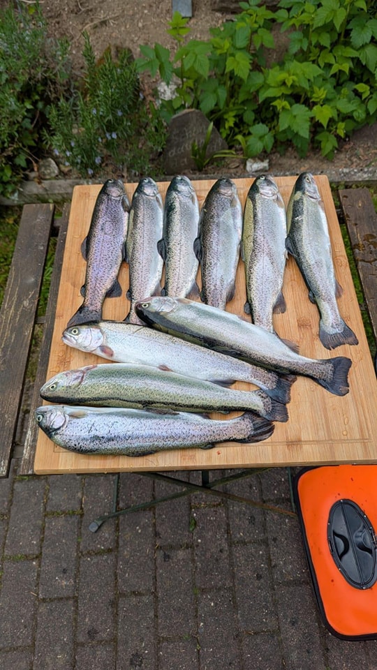 Sänger Top Tackle Systems Trolling Weight Kutscher Produktbild-Vorschau 6