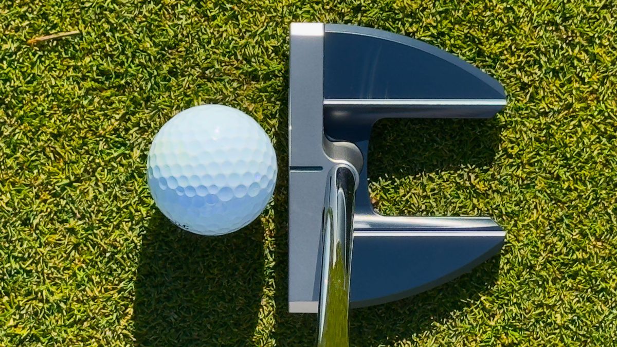 Bettinardi BB46 2022 – Putter Destro Con Impugnatura Lamkin E Testa Inclusa (32 Pollici) - Foto 3