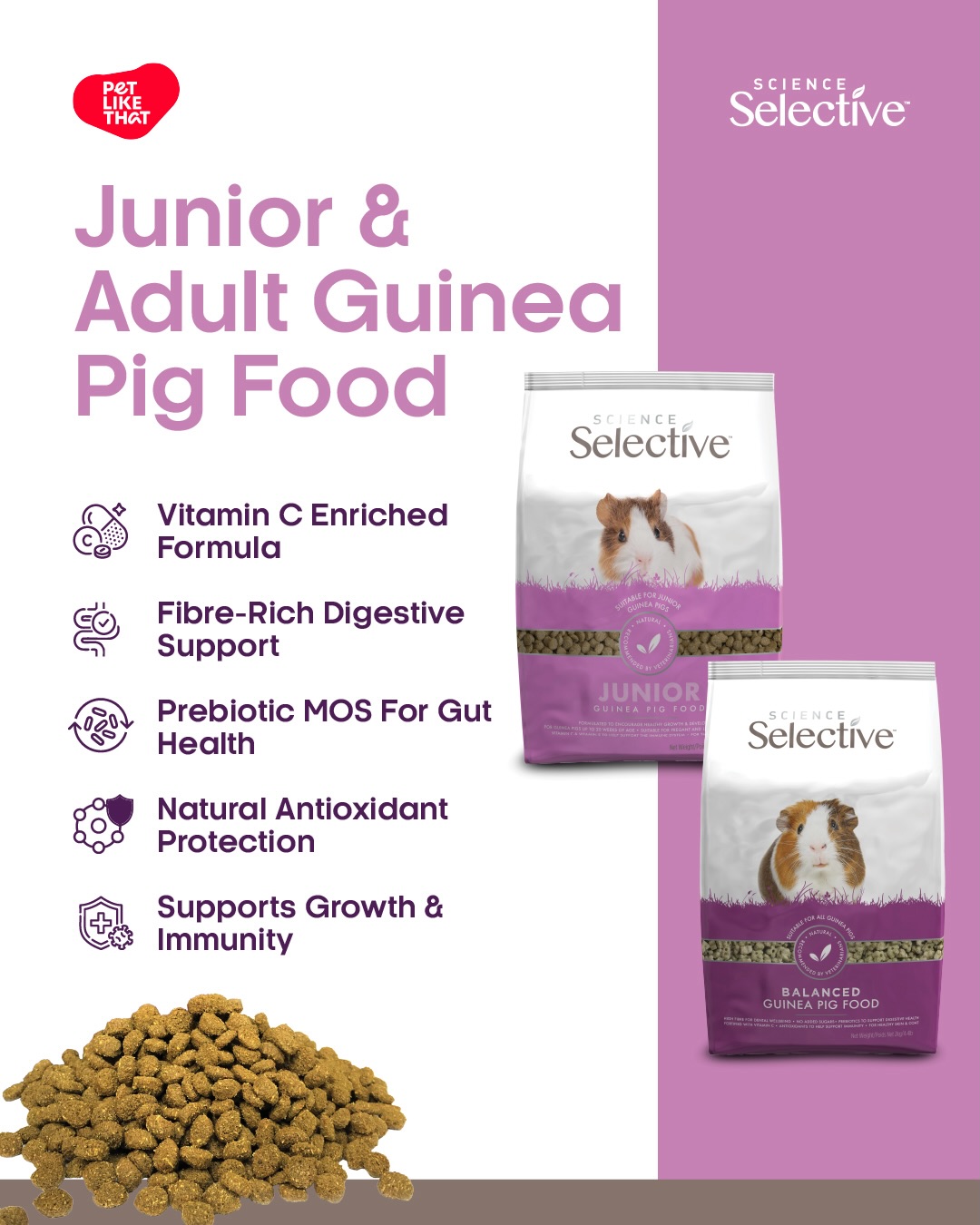 Guinea Pig Prebiotic Review photo