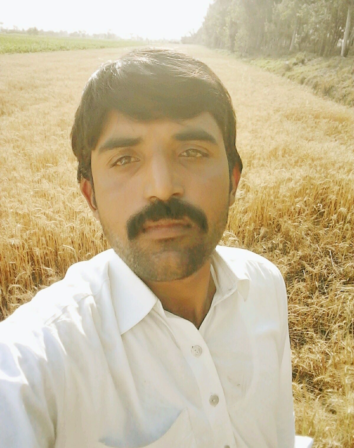 Rana Muddasar Rasheed Joyia