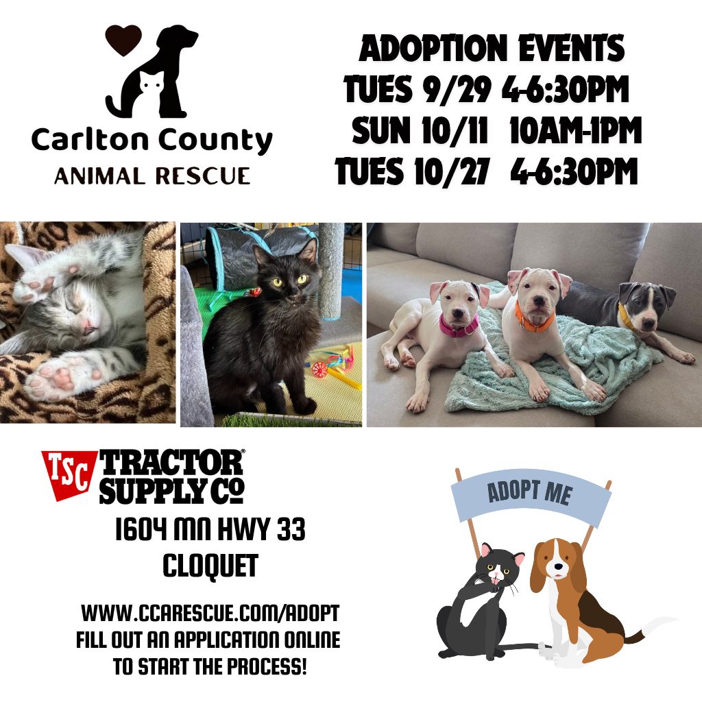 CCAR Adoption Event @ Tractor Supply Cloquet 10/11